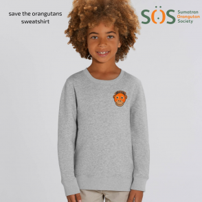 save the orangutans organic cotton kids sweatshirt - grey marl