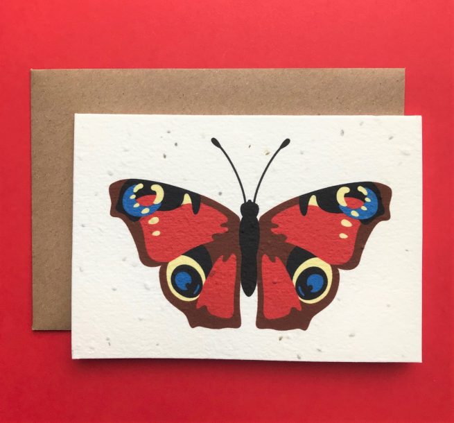 tommy & lottie peacock butterfly plantable seed card