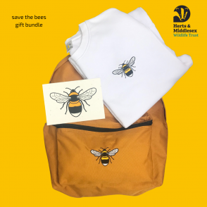 save the bees gift bundle - tommy & lottie