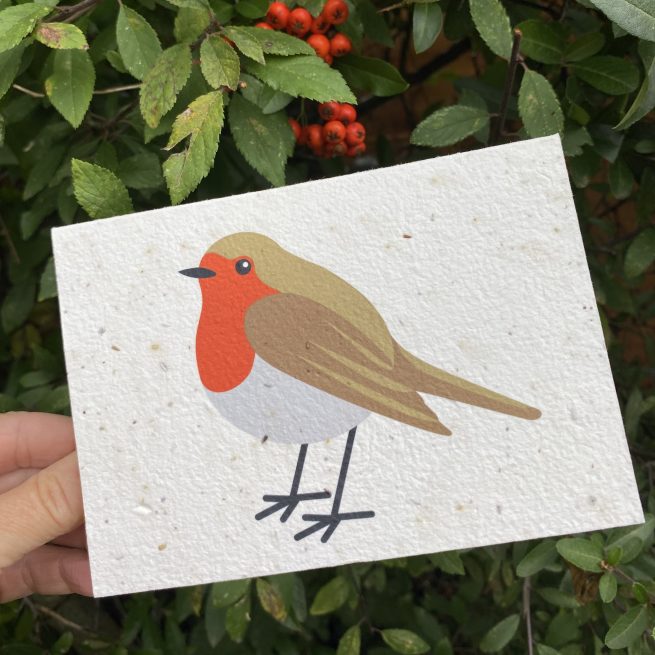robin christmas plantable seed card with berries