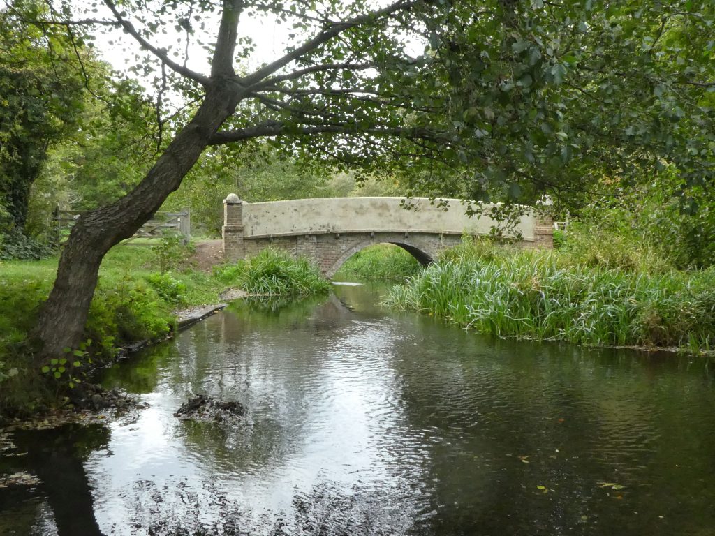River Mimram, which is one of just 240 chalk streams in the entire world, and the stretch that runs through the site is one of the very best in the county. These unique river systems are so rare, and support some of our most endangered species – they are the UK’s equivalent to tropical rainforests.